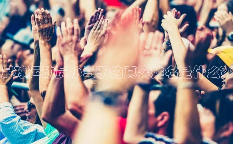 杏鑫平台开户ARGA公司