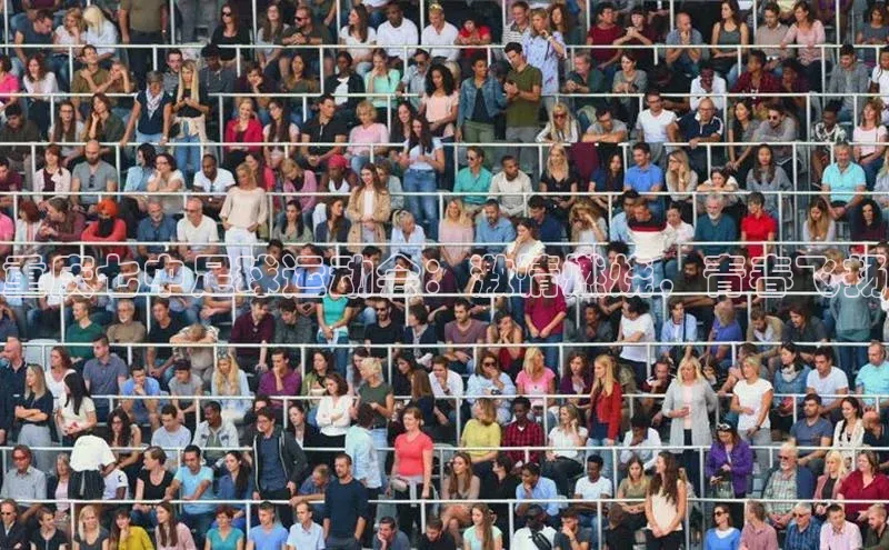 杏鑫平台手机登录入口网易