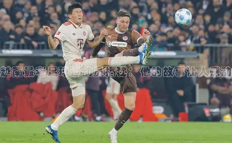 杏鑫注册登录官网彩讯股份