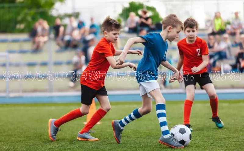 杏鑫注册网站百度众测