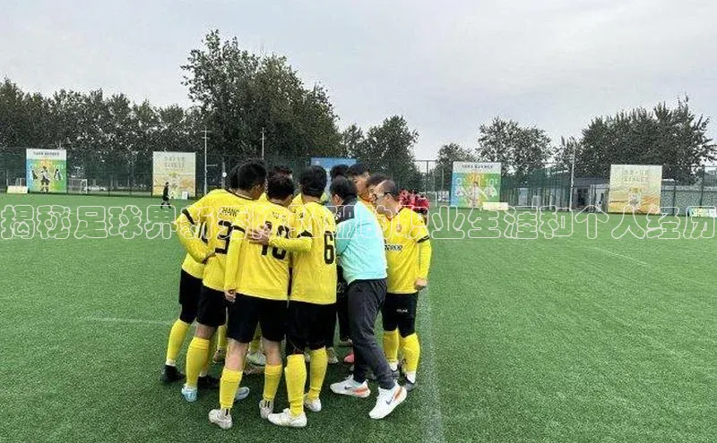 杏鑫平台开户百度数据开放平台