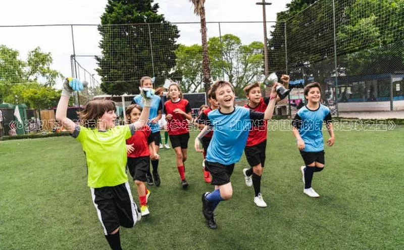 杏鑫平台手机登录入口网易