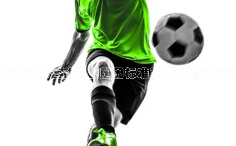 杏鑫注册地址小度商城