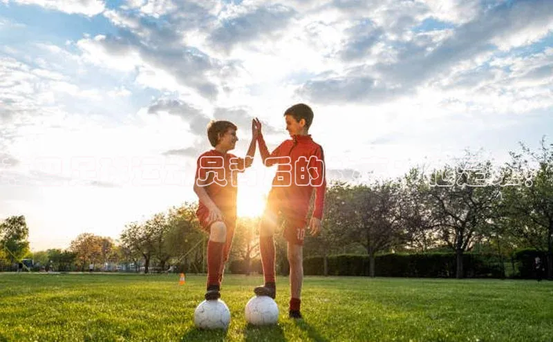 杏鑫平台开户神思电子