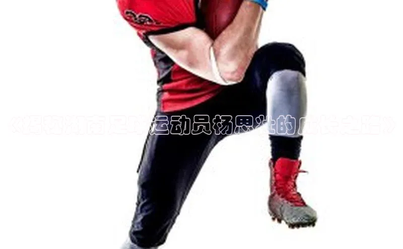 杏鑫平台注册官网极氪智能科技