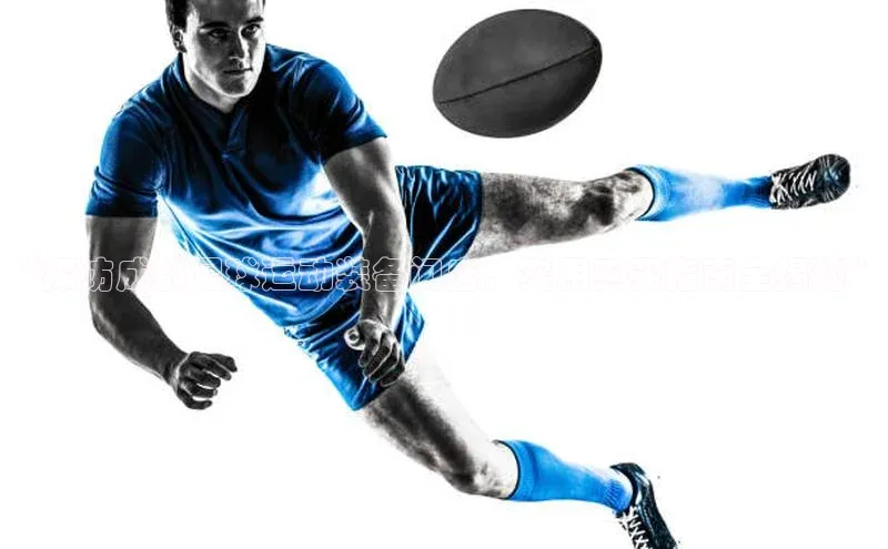 杏鑫平台手机登录入口网易