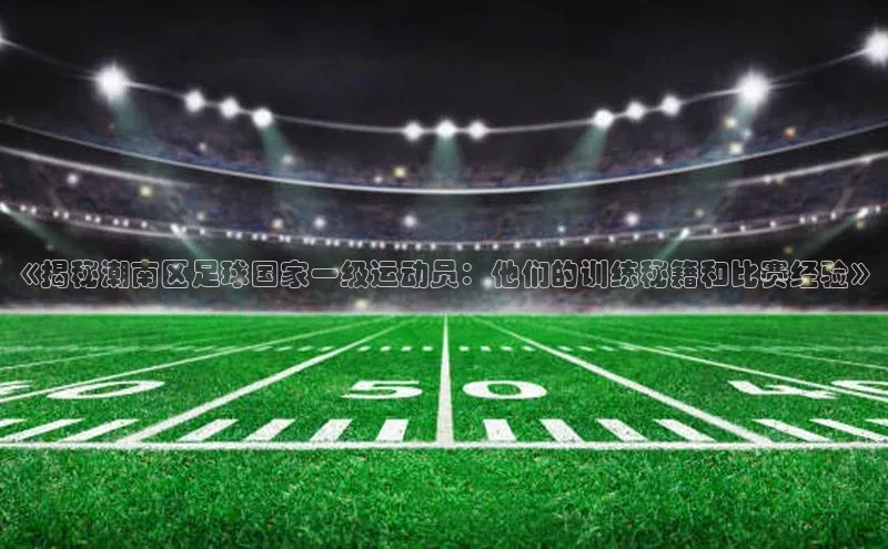 杏鑫平台手机登录入口滴滴出行