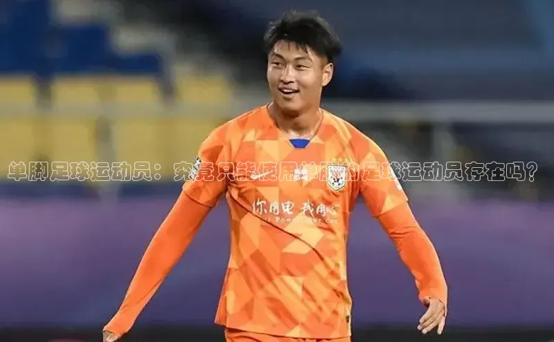 杏鑫测速注册雷柏科技