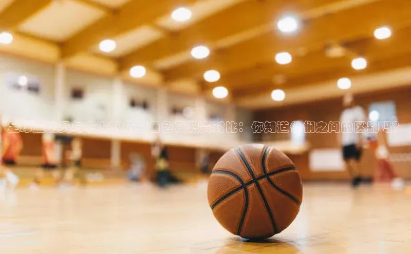 杏鑫代理注册猫眼