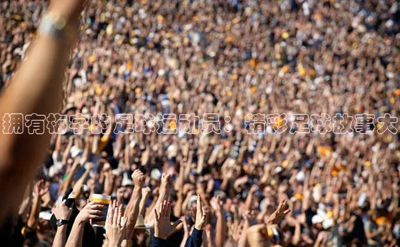 杏鑫平台手机登录入口百家号