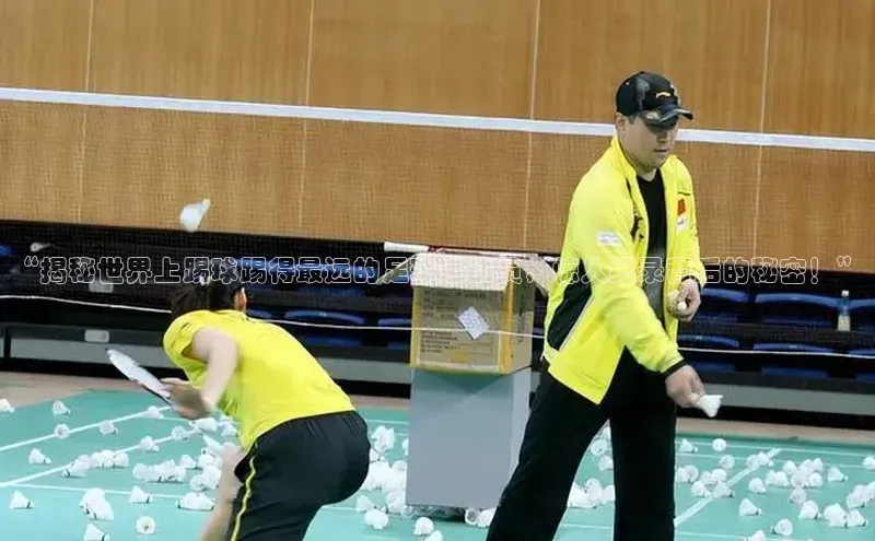 杏鑫注册网站华扬联众