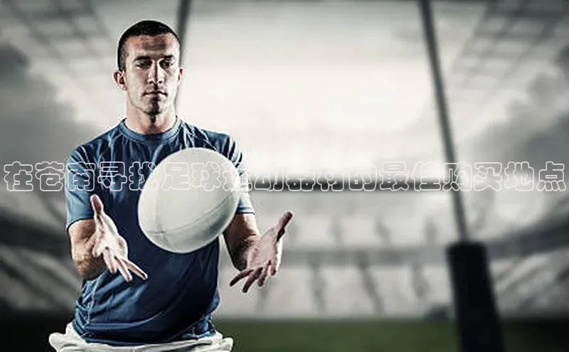 杏鑫测速注册中文在线