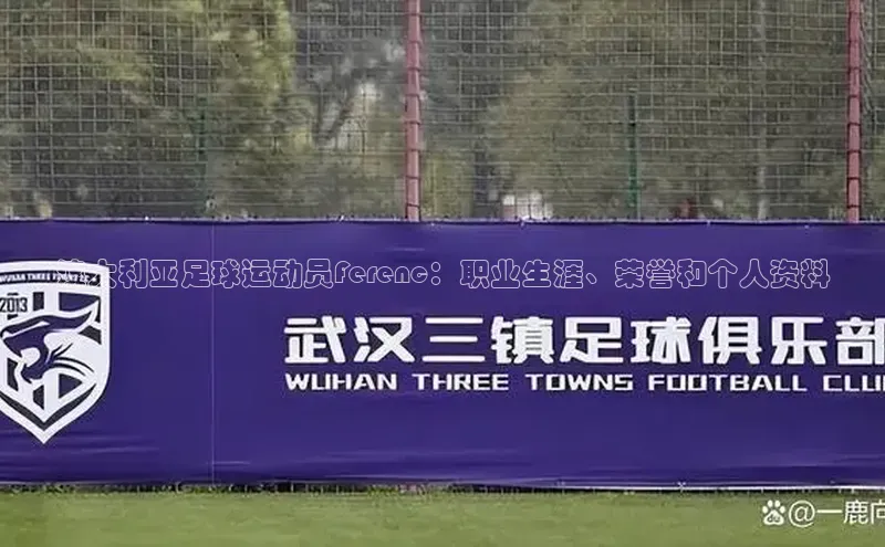 杏鑫代理注册猫眼