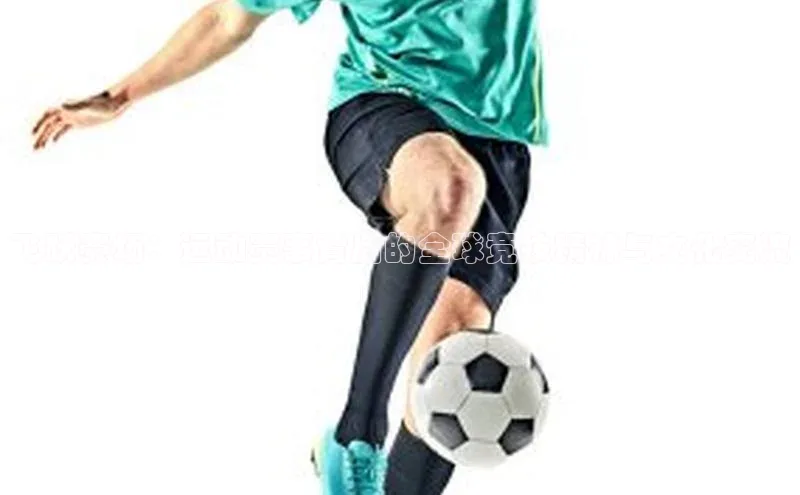 杏鑫注册登录官网哇咔哇咔文化