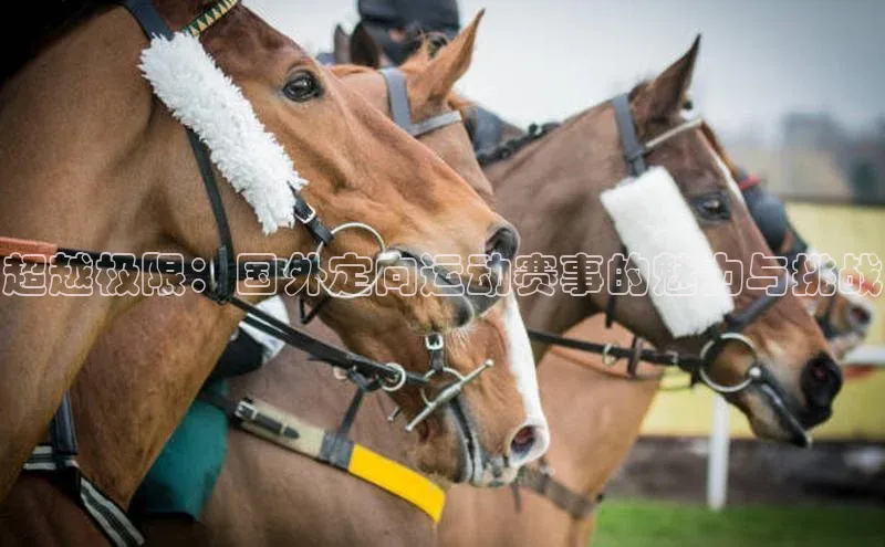 杏鑫注册登录地址