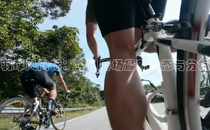 杏鑫平台登录地址