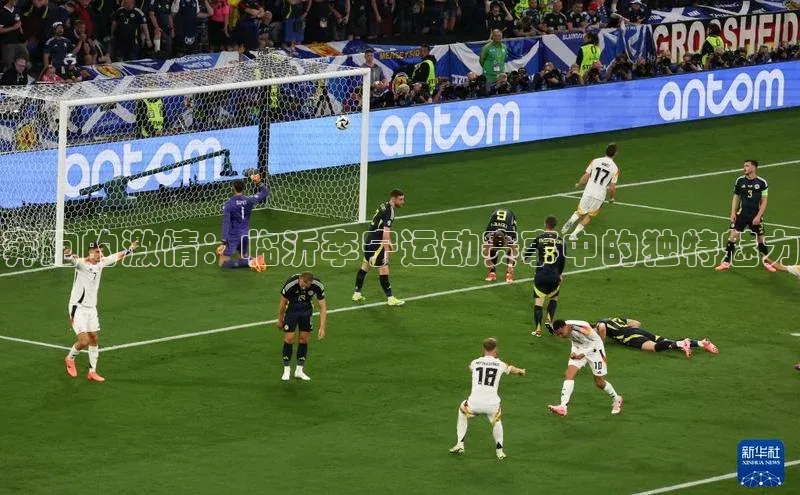 杏鑫注册登录代理