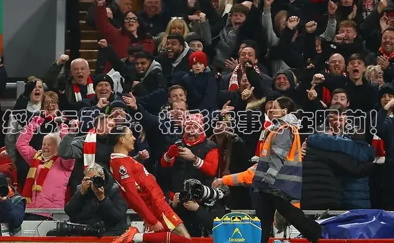 杏鑫平台代理注册