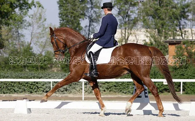 杏鑫登陆测速登录