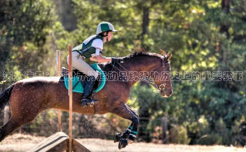 杏鑫注册登录官网