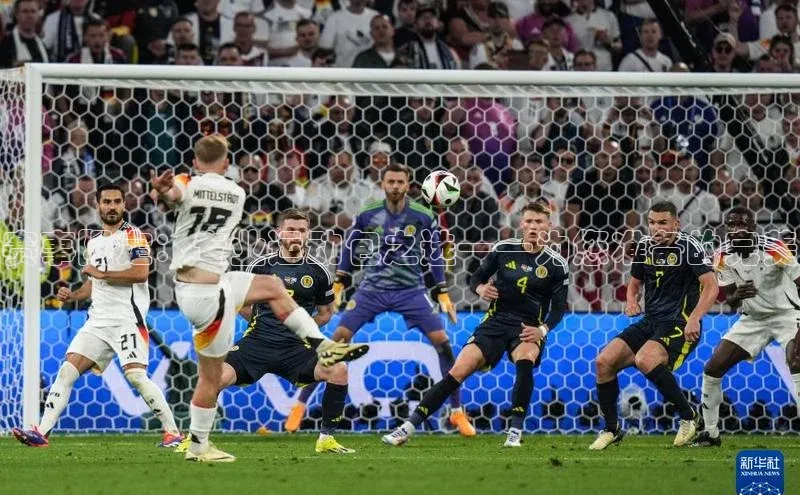 杏鑫平台注册官网