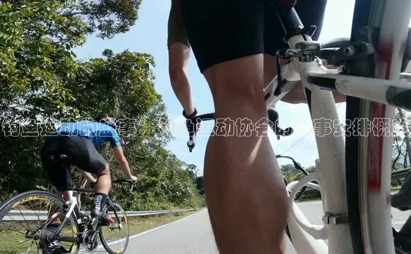 杏鑫测速注册
